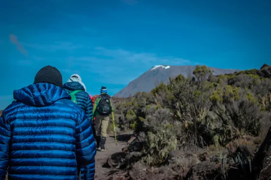 northern-circuit-kilimanjaro-longest-route