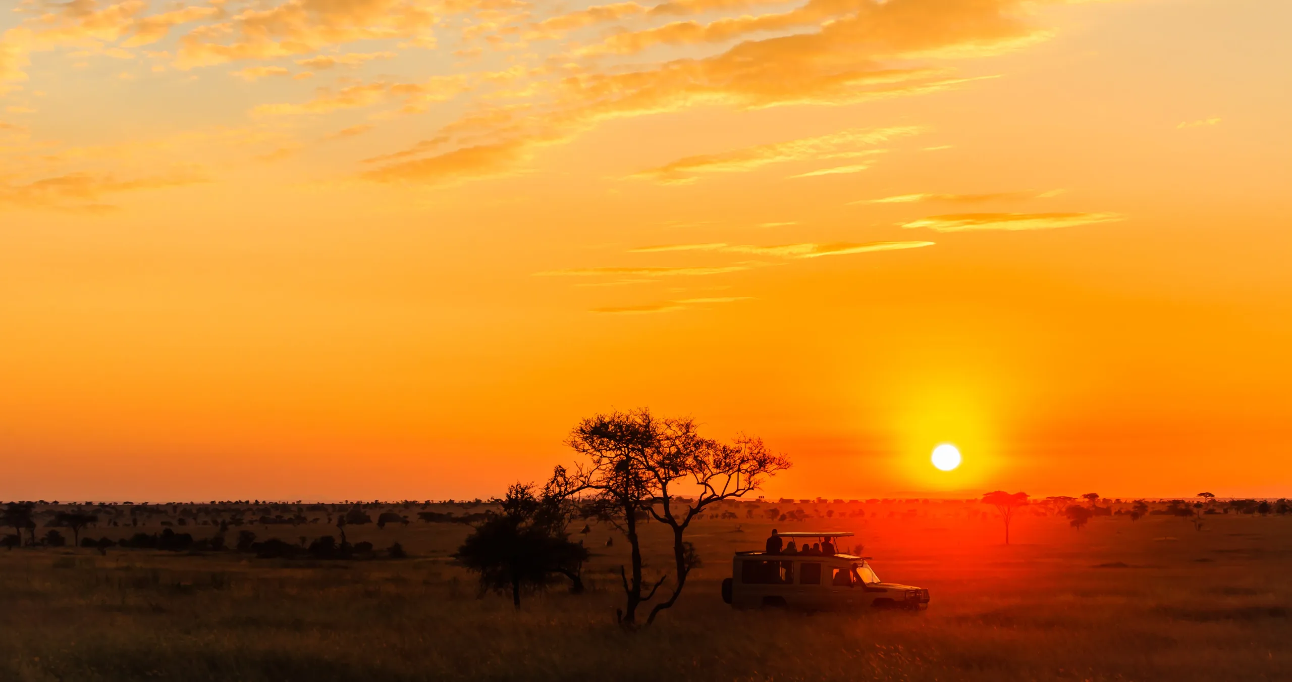 sun-setting-over-africa copy